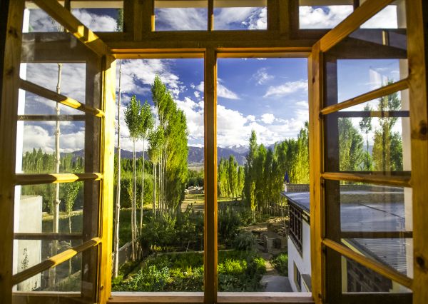 Wood Window Replacement in Rancho Cucamonga
