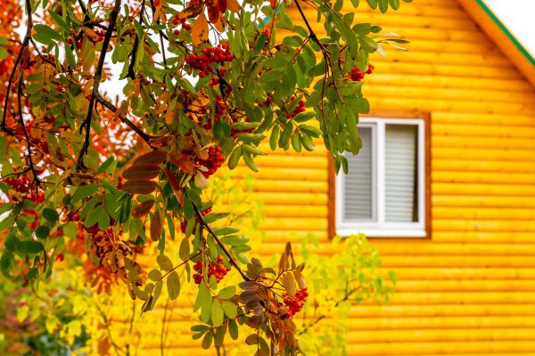 Cost of Garden Window Replacement in Rancho Cucamonga